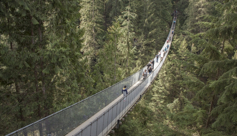 Die Capilano Suspension Bridge. Vanacouver Kanada