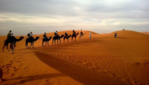Fernreisen Emirate Wüste