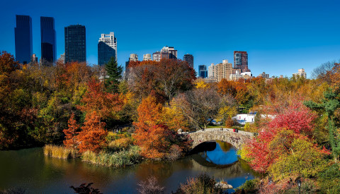 central-park-1804588_1920