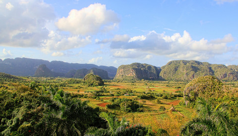 vinales.png