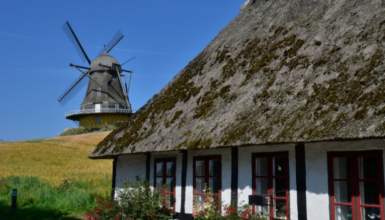 "Hyggeliger" Urlaub in Dänemarks Ferienhäusern - typische Windmühle im Hintergrund.