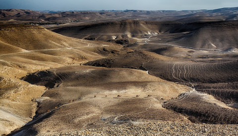 Die Negev Wüste in Israel
