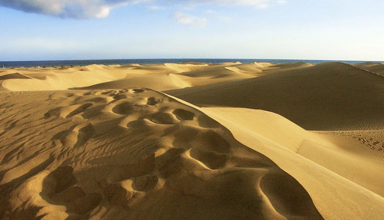 Deal Gran Canaria Riu Don Miguel