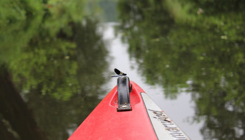 Spreewald Reisen