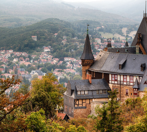 Friedrichsbrunn (Thale) Harz