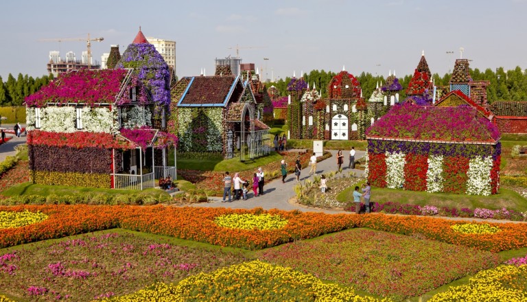 Der Miracle Garden in Dubai. Städtereisen