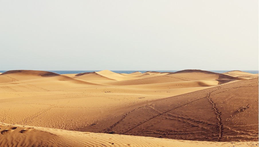 Dünen von Maspalomas