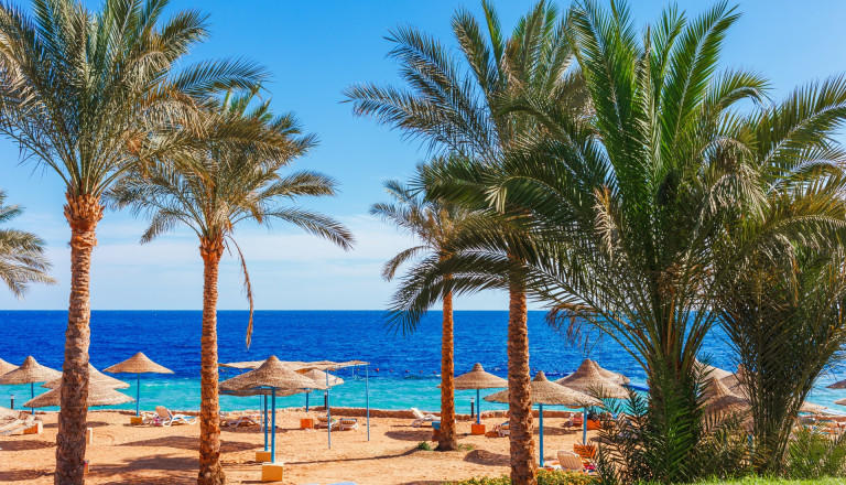 Top Ägypten-Deal: Pickalbatros Alf Leila Wa Leila Resort - Neverland Hurghada in Hurghadaab 648€