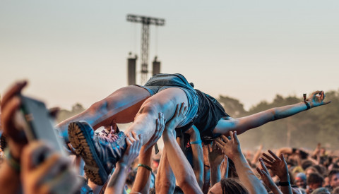Festival - Stage Diving