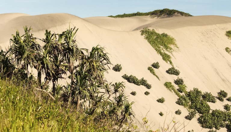 Der Sigatoka Nationalpark. 