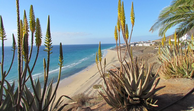 Cluburlaub auf Fuerteventura