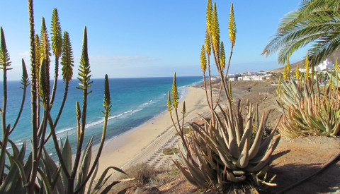 Last Minute Fuerteventura