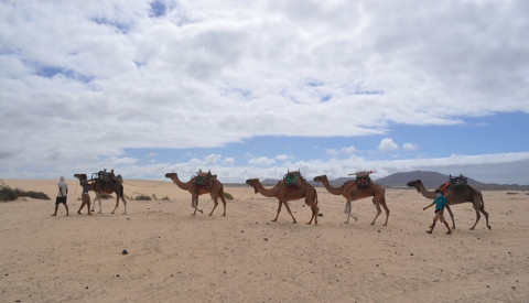 Fuerteventura: Ein Spaß für Jung & Alt.