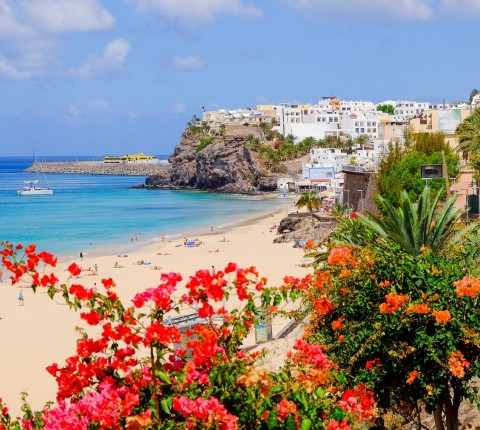 7 Tage in Costa Calma (Playa Barca) Fuerteventura