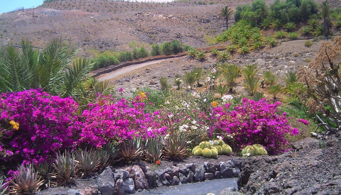 Naturgenuss auf Fuerteventura