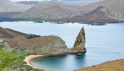 Erleben Sie einzigartige Tier-und Pflanzenwelt der Galapagos Inseln.