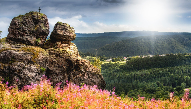 3 Nächte Thüringer Wald inkl. Halbpension & Wellness