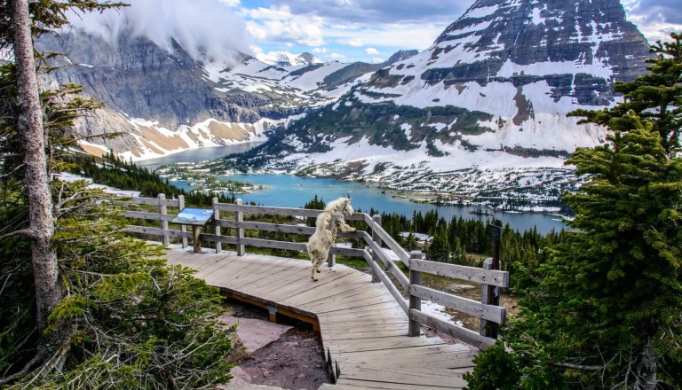 Glacier Nationalpark