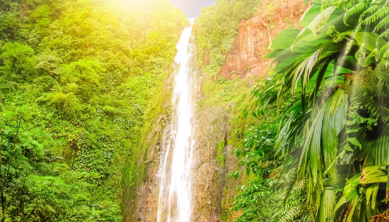 Der Cabet Wasserfall auf Guadeloupe.