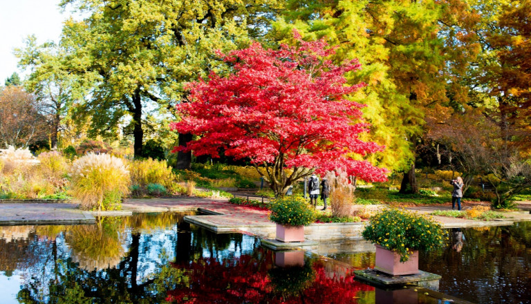 Der Park Planten und Blomen in Hamburg.