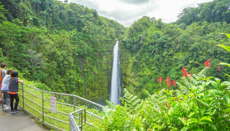 Die Akaka Wasserfälle von Hawaii