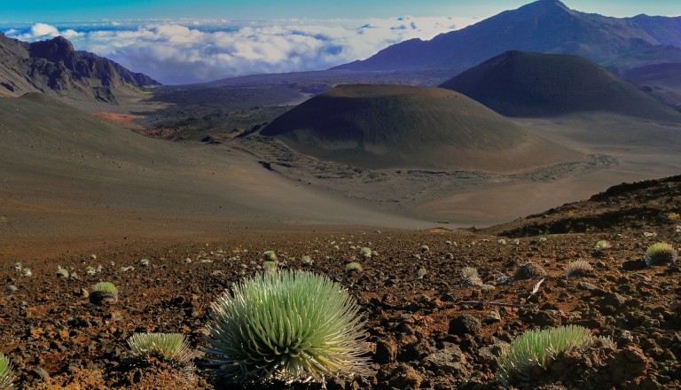 Die Mondschaft von Haleakala.