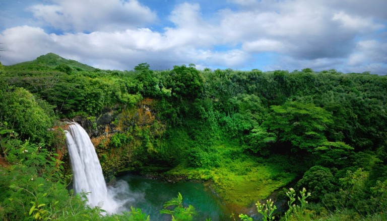 Hawaii Wasserfall