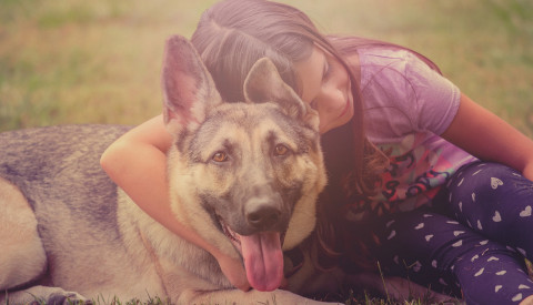 Hund mit Familienanschluss