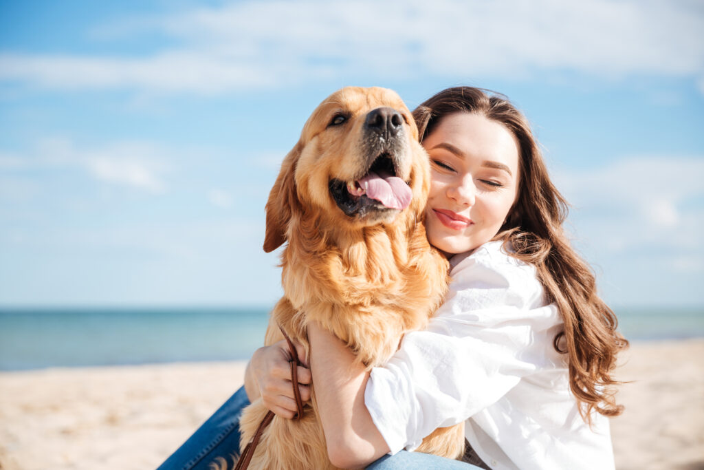 Großer Hund Bello aus Stockholm