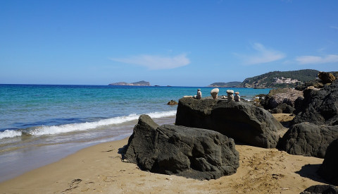 Sehenswürdigkeit Nr. 1 ist Ibizas Natur.