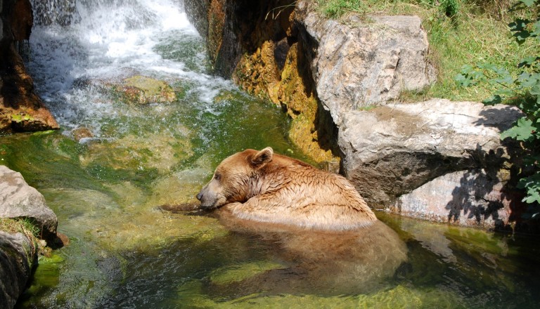 Alpenzoo Innsbruck