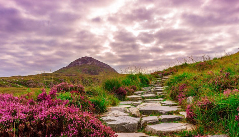 Rundreisen in Irland