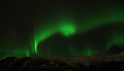 Die Polarlichter Islands erscheinen überall im Land.