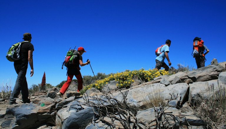 Trekking in Teide Nationalpark.