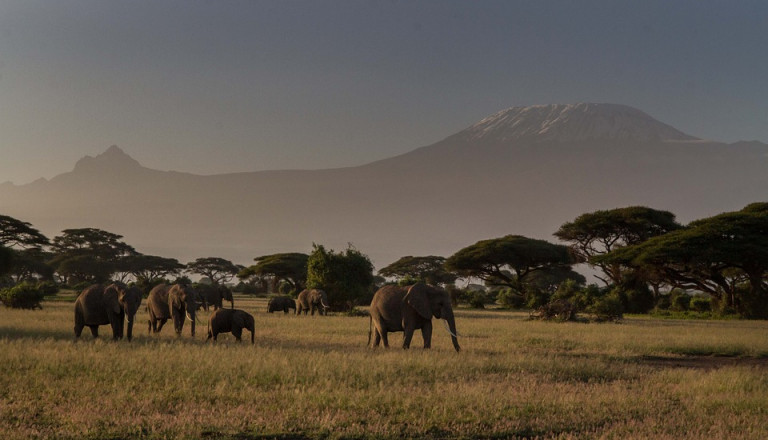 Reisen nach Kenia