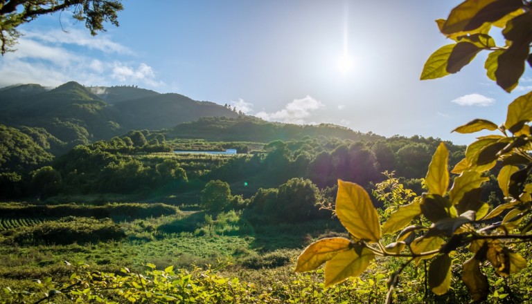 La Palma Pauschalreisen Natur