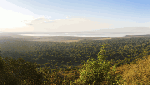 Lake Manyara Nationalpark