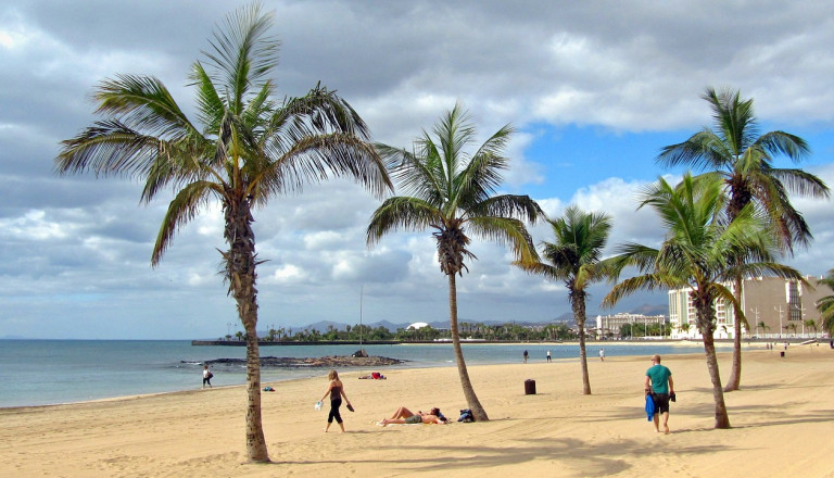 Lanzarote Strand Palmen