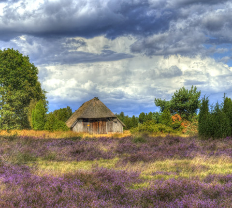 Deutschland Lüneburger Heide