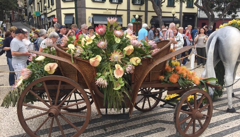 Festivals und Events beleben die Blumeninsel Madeira.