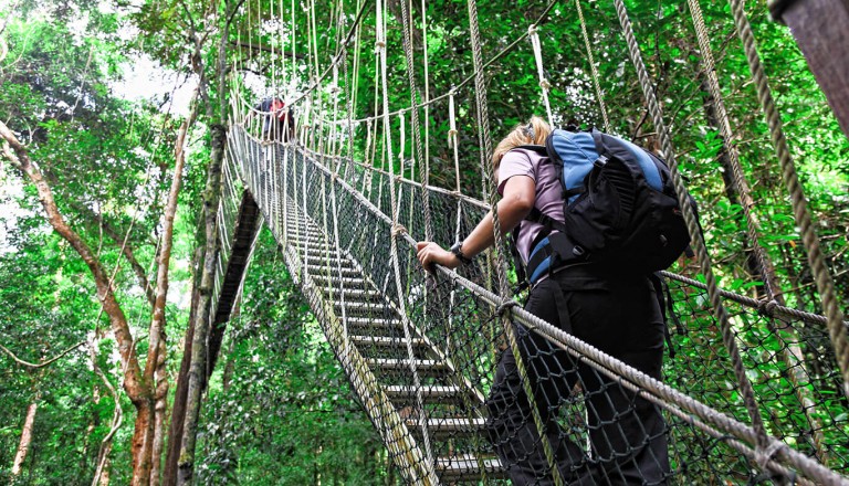 Der Nationalpark Taman Negara in Malaysia