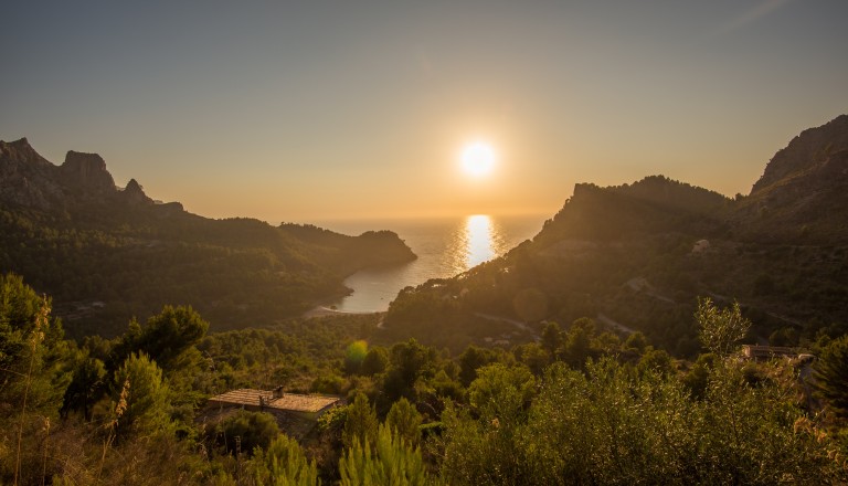 Mallorca Singleurlaub Alleinreisende
