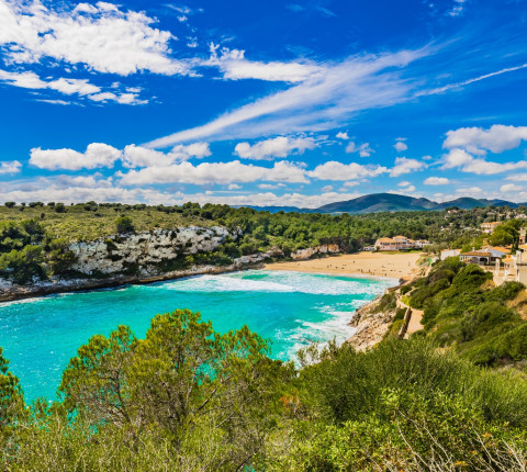 7 Tage Mallorca Urlaub im September inkl. Flug, Transfer & Halbpension Plus