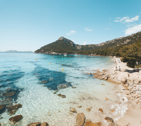 7 Tage Mallorca im Mai 2021 inkl. Direktflug, Transfer, Zug & HP