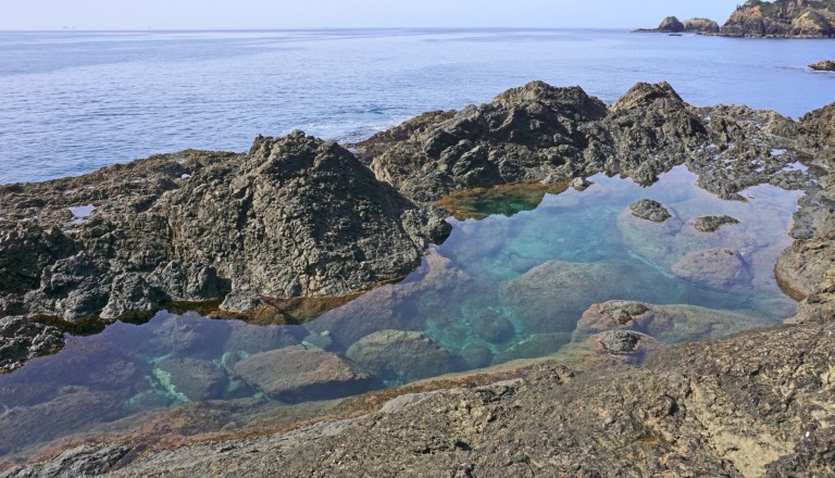 Mermaid Pools in Neuseeland