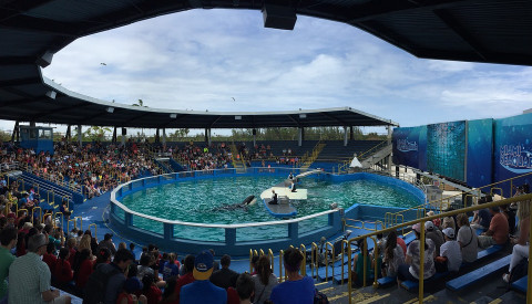 Das Seaquarium in Miami