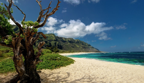 Mokuleia Beach