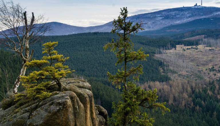 Der Nationalpark Harz mit Brocken.