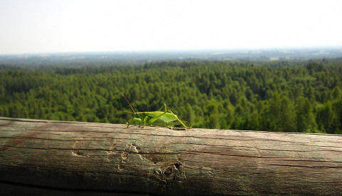 Nationalparks in Estland