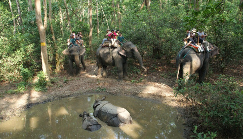 Der Chitwan Nationalpark in Nepal